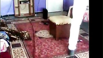 दिल्ली पंजाबी लड़की एमएमएस 1-सिनेमा. video2porn2