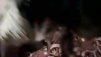 दिल्ली कॉलेज किशोर-फिल्में.