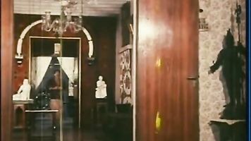 भारतीय नौकरानी दरार शो