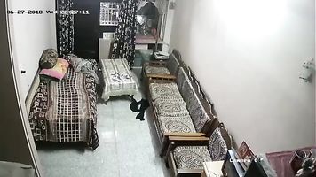 गर्म गर्भवती चोर गृहिणी