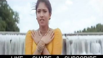 सांगवी सुंदर उल्लू दृश्य दिखा रहा है