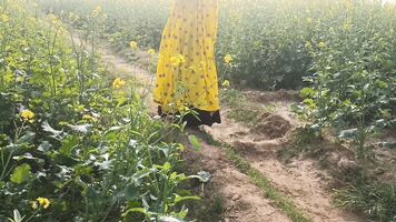 ममता भाभी को खेत में ले जाकर डॉगी स्टाइल में चोदा आउटडोर